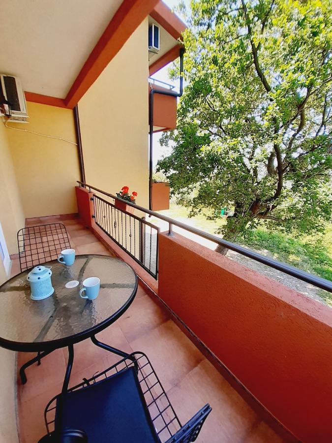 Apartment Macic Dub I Kotor Exterior foto
