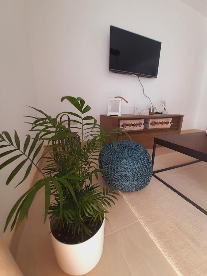 Apartment Macic Dub I Kotor Exterior foto